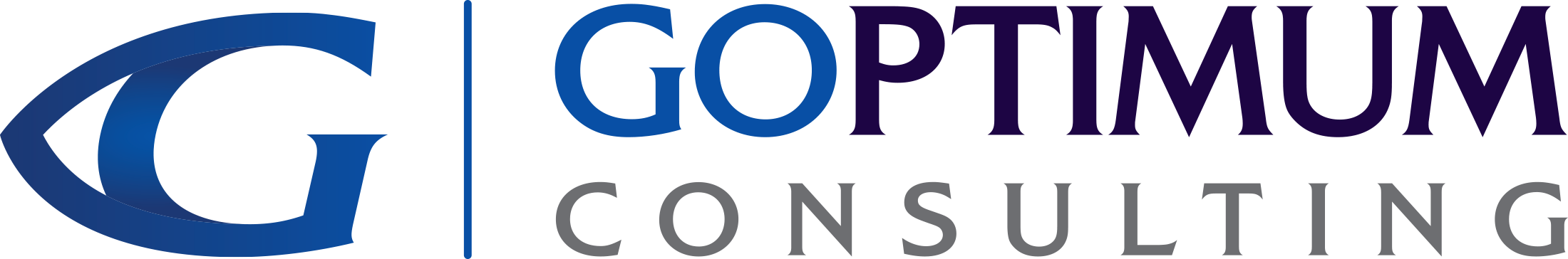 Goptimum Consulting